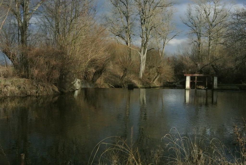 Penzion U Reky Vojkovice  Bagian luar foto